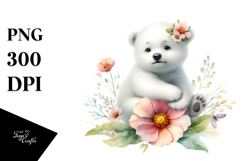 Baby Polar Bear Watercolor PNG Product Image 1