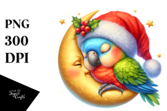Boho Baby Parrot Sleeping on the Moon PNG Product Image 1