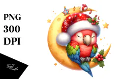 Baby Parrot Sleeping on the Moon PNG Product Image 1