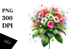 Impatiens Watercolor Splash PNG Product Image 1