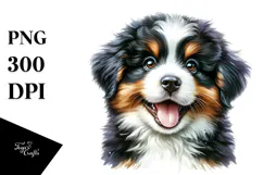 Happy Bernese Mountain Dog PNG Product Image 1