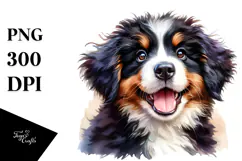 Baby Bernese Mountain Dog, Transparent PNG Product Image 1