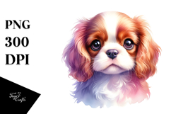 Expressive Cavalier King Charles Spaniel, PNG Product Image 1