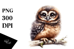 Adorable Baby Owl Watercolor PNG Product Image 1