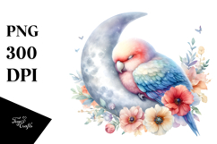 Pastel Baby Parrot Sleeping on the Moon PNG Product Image 1