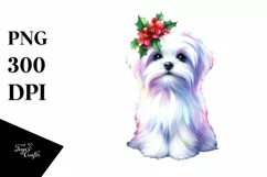 Maltese Vibrant Christmas Gifts PNG Product Image 3