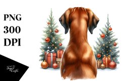 Cute Rhodesian Ridgeback with Christmass Decorations PNG Product Image 1