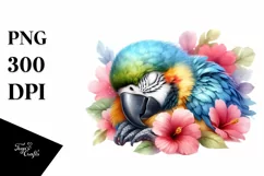Colorful Baby Macaw Sleeping in Flower | Summer Clipart Product Image 1