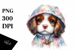 Expressive Baby Brittany in Raincoat, PNG Product Image 1