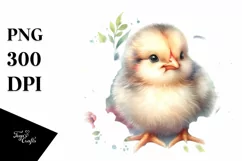 Watercolor Baby Chicken High PNG Product Image 3