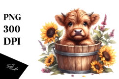 Cute Baby Highland Cow with Sunflower PNG Product Image 1