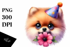 Confused Party Hat Pomeranian Watercolor Big Eyes Clipart Product Image 1