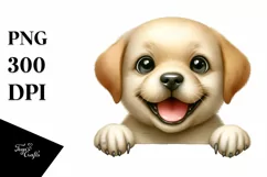 Colorful Labrador Retriever Baby Clipart Product Image 3
