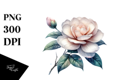 Gardenia Material PNG Product Image 1