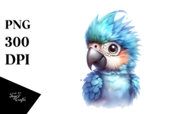 Energetic Baby Macaw with Cool Hair PNG Product Image 1