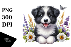 Watercolor Baby Border Collie with Big Eyes PNG Product Image 1