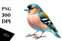 Simple Finch Watercolor Clipart Product Image 1