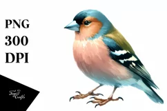 Simple Finch Watercolor Clipart Product Image 1