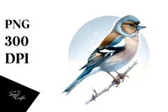 Simple Finch Watercolor Clipart Product Image 1