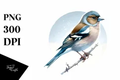 Simple Finch Watercolor Clipart Product Image 1