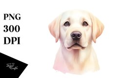 Sublimation|Clipart Product Image 3