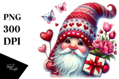 Detailed Gnome in Large Hat, PNG Product Image 1