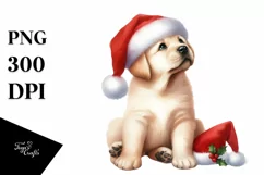 Christmas Cat with Santa Hat, PNG Product Image 3