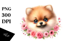 Happy Baby Pomeranian, PNG Product Image 1