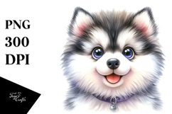 Happy Siberian Husky with Crazy Fur Product Image 1