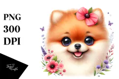 Cute Baby Pomeranian, PNG Product Image 1