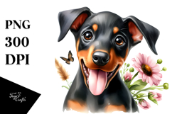 Happy Baby Doberman Pinscher, PNG Product Image 1