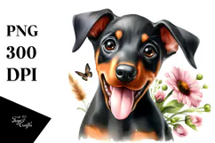 Happy Baby Doberman Pinscher, PNG Product Image 1