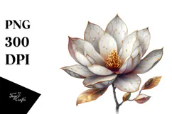 Magnolia with Watercolor Splash PNG Product Image 1