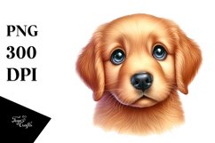 Sublimation|Clipart Product Image 3