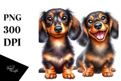 Baby Dachshund with Crazy Fur, Transparent PNG Product Image 1