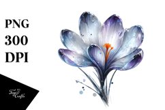 Shiny -Like Crocus | Watercolor Splash Product Image 3