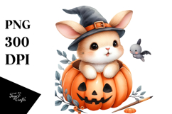 Cute Baby Bunny, Transparent PNG Product Image 1