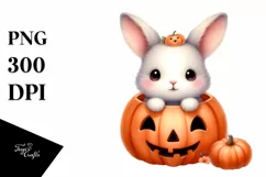 Cute Baby Bunny, Transparent PNG Product Image 3