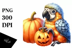 Cute Baby Macaw with Pumpkin PNG Product Image 3