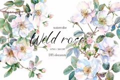 Watercolor Floral Clipart, Wild Rose Flowering Twigs Clipart Product Image 1