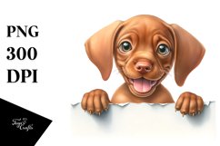 Funny Baby Vizsla Watercolor Clipart Product Image 3