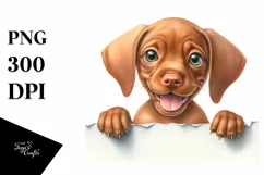 Funny Baby Vizsla Watercolor Clipart Product Image 3