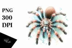 Mystical Tarantula Tshirt|Tumbler|Mug|Clipart Product Image 1