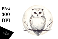 Simple Watercolor Owl PNG Product Image 1
