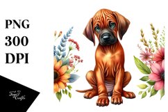 Sublimation|Clipart Product Image 1