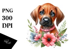 Sublimation|Clipart Product Image 1