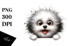 Funny Bichon Frise, Peek-A-Boo | Sublimation | Clipart Product Image 1