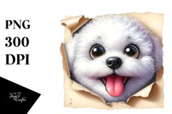 Funny Bichon Frise, Peek-A-Boo | Sublimation | Clipart Product Image 3
