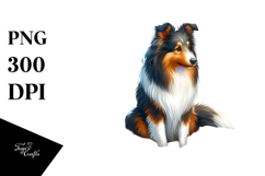 Collie in Sand with Surf and Slippers | Sublimation | Product Image 1