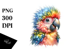 Baby Macaw Watercolor PNG Product Image 1